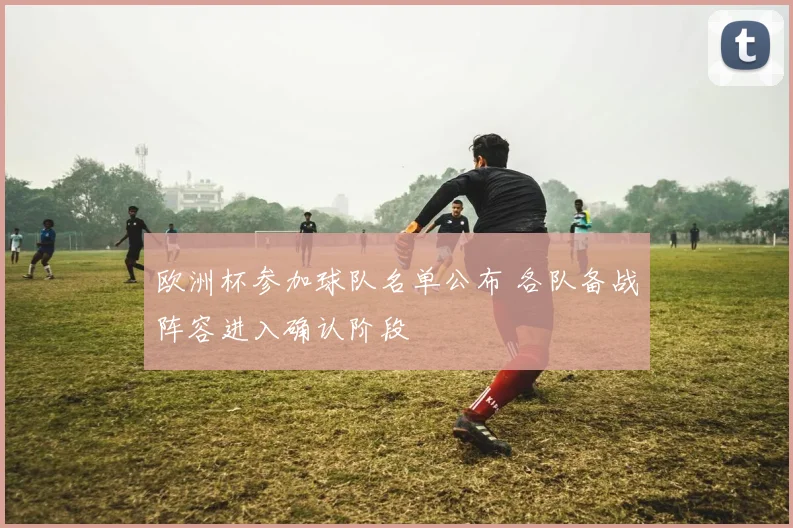 欧洲杯参加球队名单公布 各队备战阵容进入确认阶段