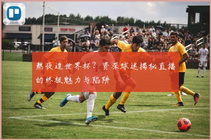 熬夜追世界杯？资深球迷揭秘直播的终极魅力与陷阱