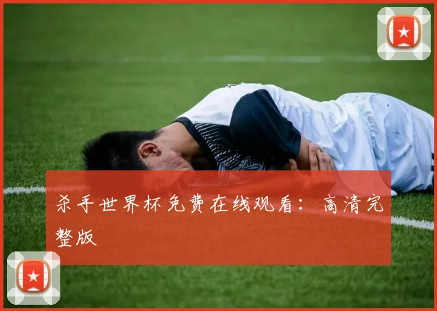 杀手世界杯免费在线观看：高清完整版