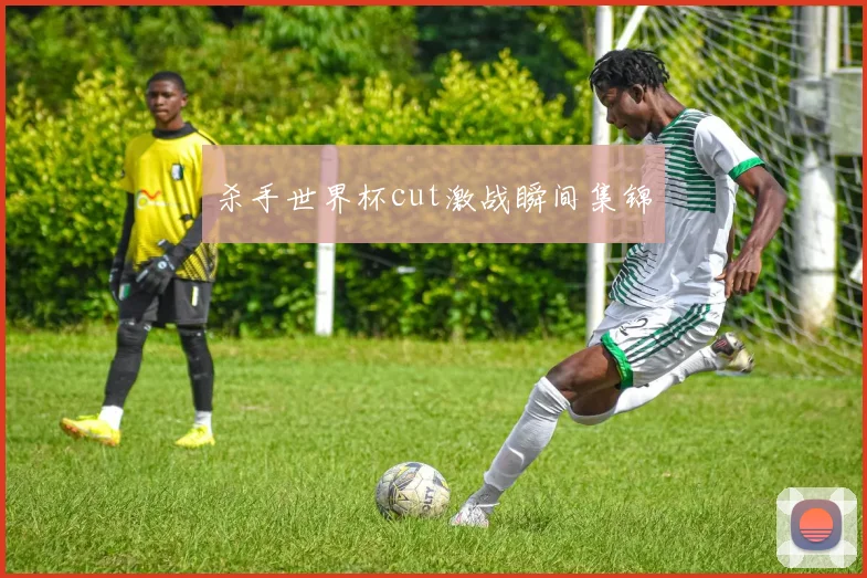 杀手世界杯cut激战瞬间集锦