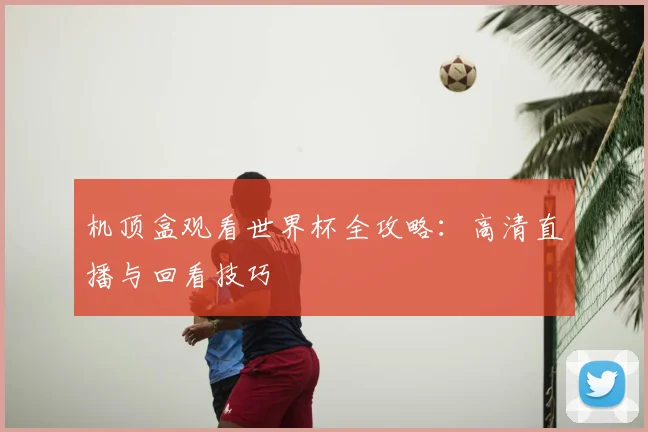 机顶盒观看世界杯全攻略：高清直播与回看技巧