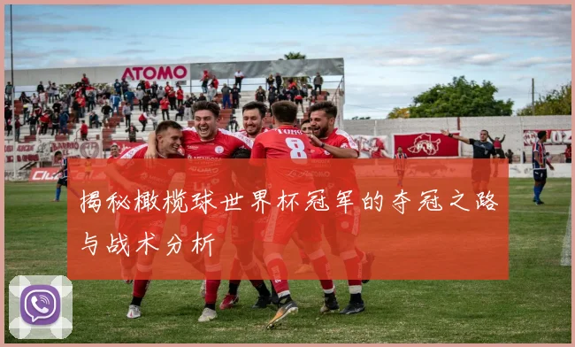 揭秘橄榄球世界杯冠军的夺冠之路与战术分析