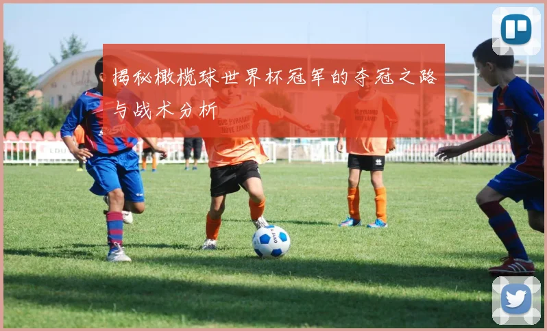 揭秘橄榄球世界杯冠军的夺冠之路与战术分析