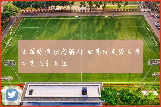 法国球盘动态解析 世界杯走势与盘口变化引关注