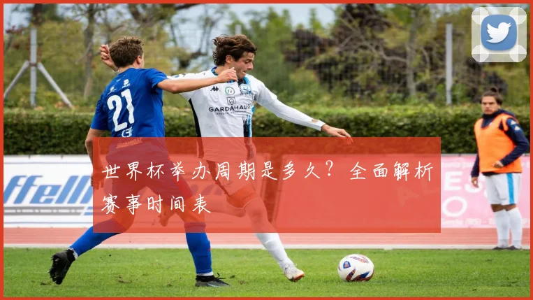 世界杯举办周期是多久？全面解析赛事时间表