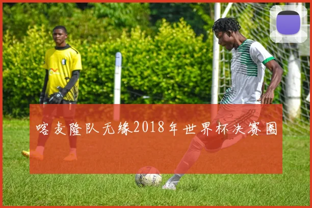 喀麦隆队无缘2018年世界杯决赛圈