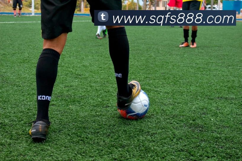 世界杯官网中文版平台生态图